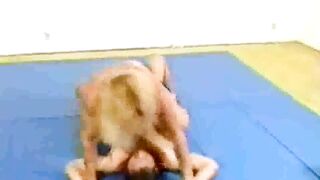 mixed wrestling with a strong fbb youtube