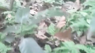 Sri Lankan BIG ASS WIFE Doggy in JUNGLE # පුක ලොකු සකූ එක්ක කැලේ ෆන් එකක්