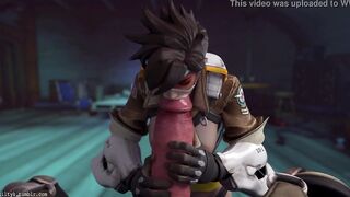 Overwatch - Tracer x Roadhog (Animated, Sound) [Guilty]