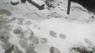 Angel Fowler Walks with Umbrella in Snow next to River