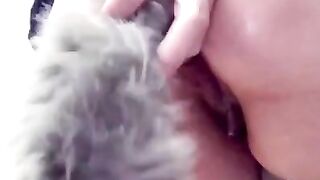 BANNED Instagram Story - Horny Asian Babe Stretches Tight Butthole with Fox Tail Butt Plug