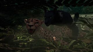 Human x Furry Animation (wildlife Game)