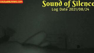 Sound of Silence Logdate210824