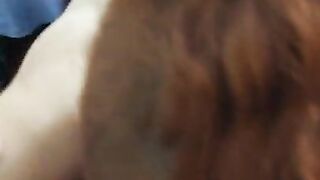 Redhead hooker sucking dick for creampie in her pussy