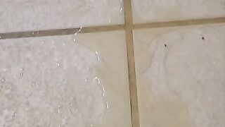 Floor Pee On Ex's Slippers