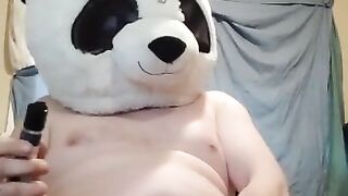 Perverted panda jerks off while I'm at work