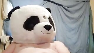 Perverted panda jerks off while I'm at work