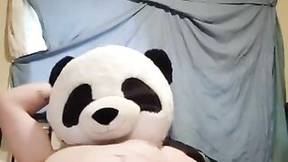 Masterbating panda breaks in my home uses all my lube