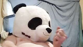 Masterbating panda breaks in my home uses all my lube