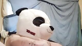 Masterbating panda breaks in my home uses all my lube