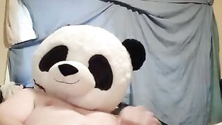 Masterbating panda breaks in my home uses all my lube