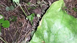 Night cumshot in the park on a big leaf