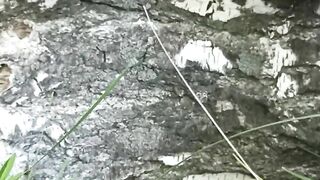 Masturbating on the tree using dry twig. Hairy cunt in the forest