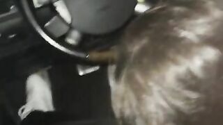 Thick German girl sucks dick in car