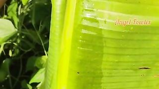 I like to piss in the hotel garden near Banana Tree - my outdoor adventures