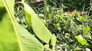 I like to piss in the hotel garden near Banana Tree - my outdoor adventures