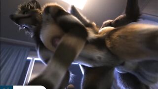 Furry Hard Fuck with Huge Dick Until Cum