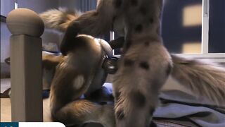 Furry Hard Fuck with Huge Dick Until Cum