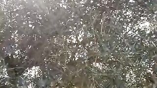 Showing tits in Private Orange fields near highway!!