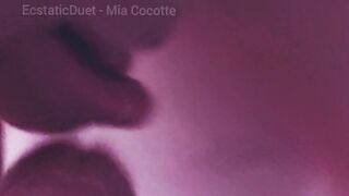 Mia Cocotte NV