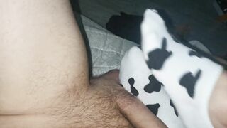 Cow socks